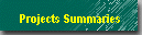 Projects Summaries