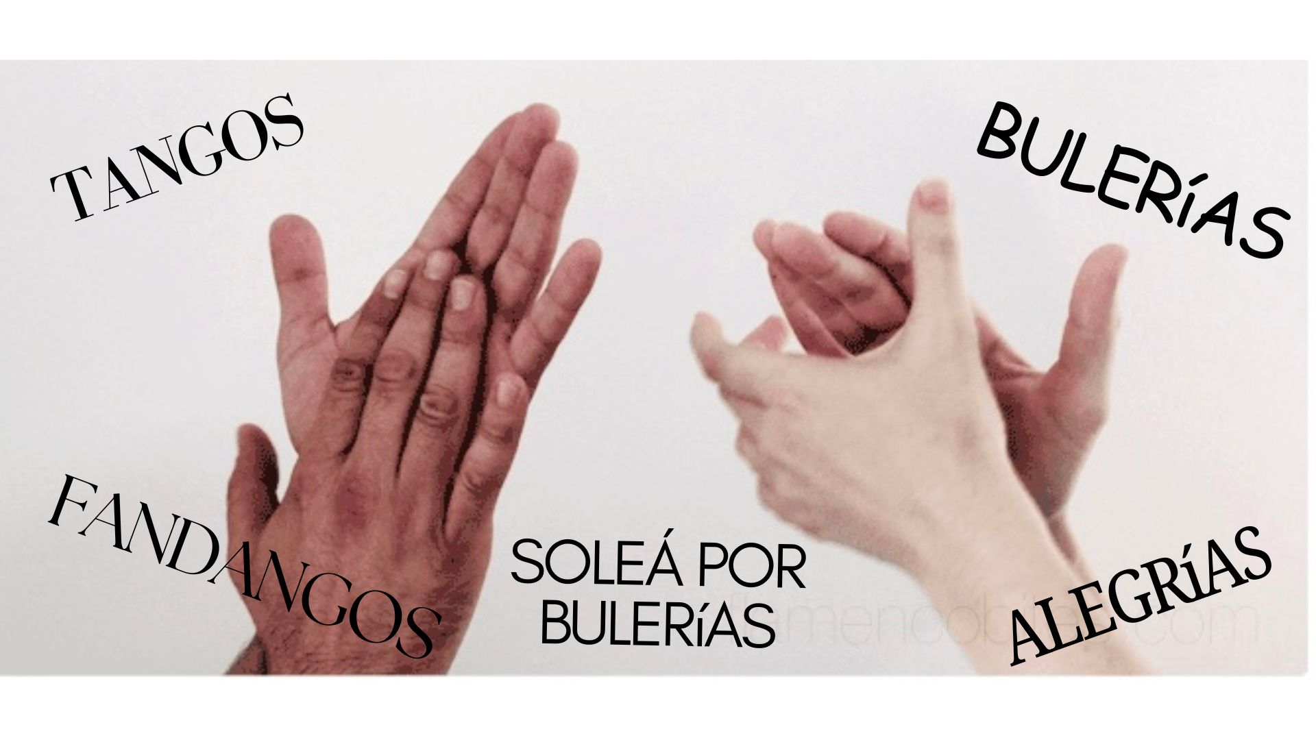 Hands