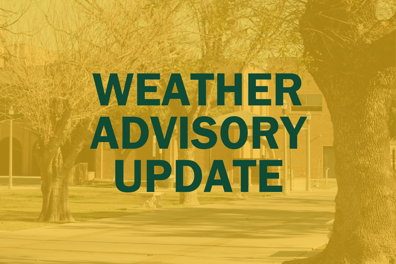 LC announces campus closures Tuesday due to inclement weather