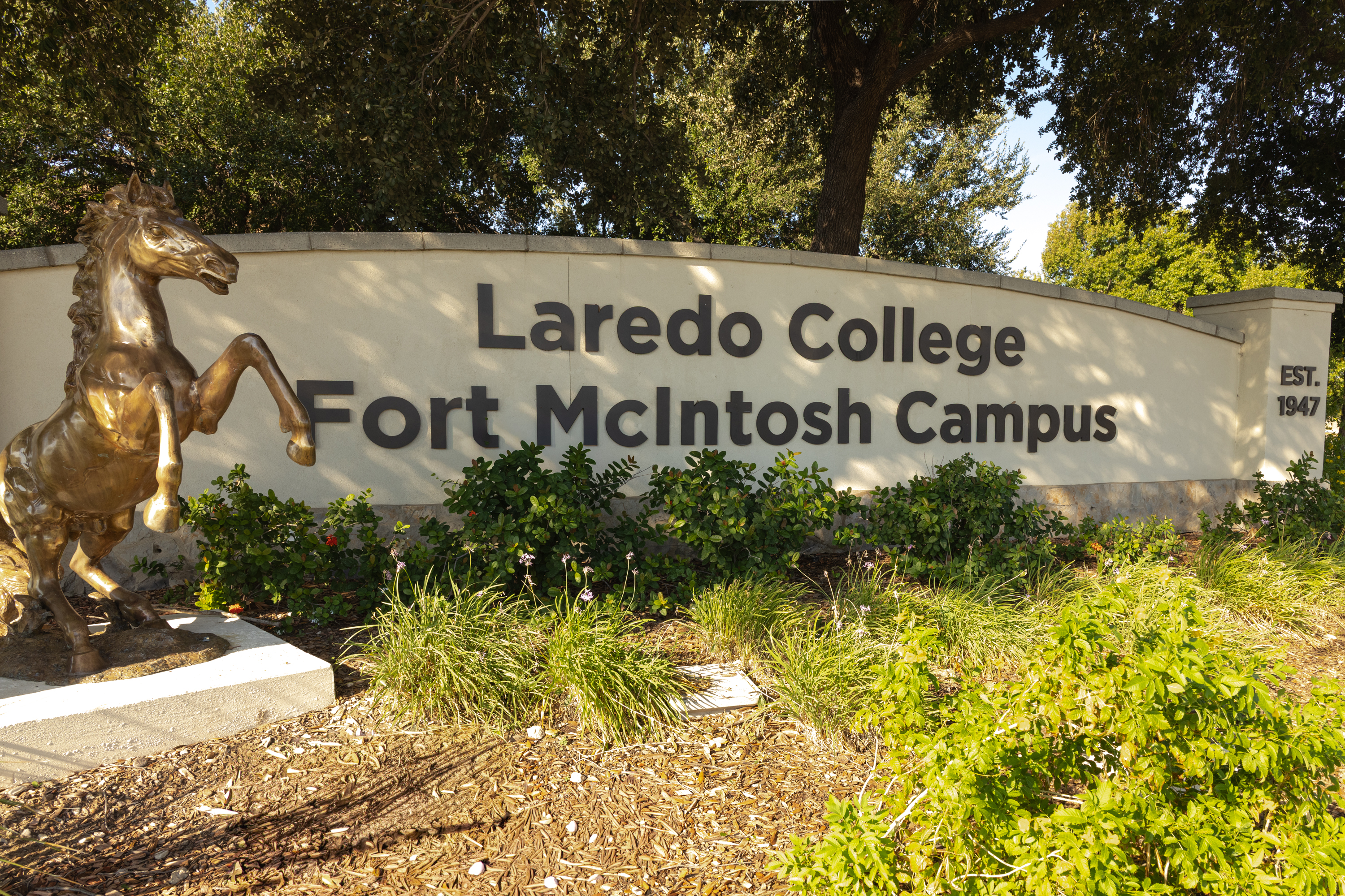 LC and Texas State Guard; providing community support on all fronts