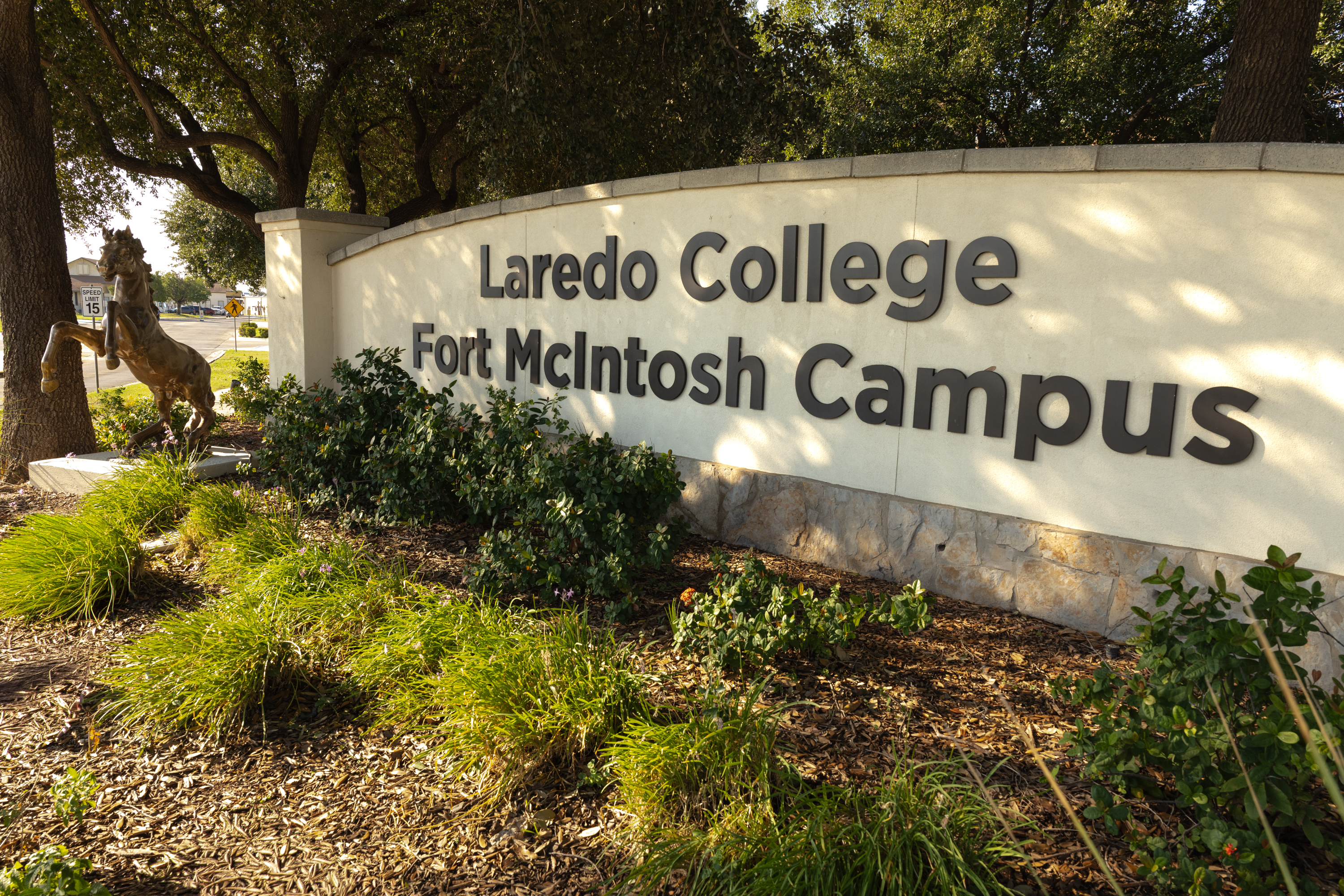 Eight vie for Laredo College Board of Trustees seats in November election